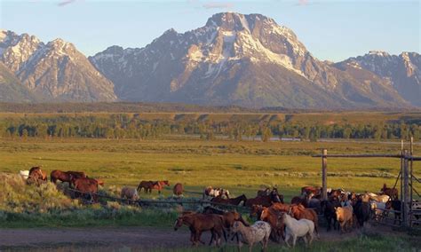 Triangle x ranch - The Triangle X Ranch is the perfect place to experience an authentic working dude ranch! Located in Jackson Hole, Wyoming, in the heart of Grand Teton National Park, Triangle X Ranch offers a place where you can truly get away. Come enjoy a fun-filled ranch atmosphere where you can spend your days participating in a range of activities.